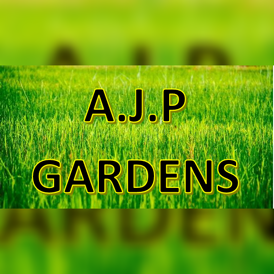 A.J.P.Gardens